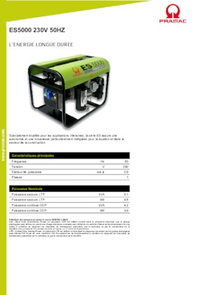 Groupes électrogènes à essence PRAMAC Lifter ES 5000