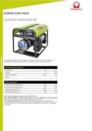 Groupes électrogènes à essence PRAMAC Lifter ES 8000