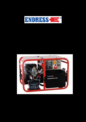 Groupes électrogènes à essence Endress ESE 1006 DBS-GT ES 