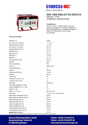 Groupes électrogènes à essence Endress ESE 1006 DSG-GT ES Duplex
