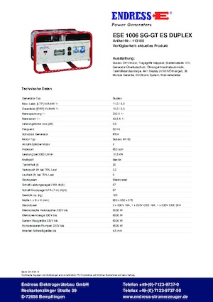 Groupes électrogènes à essence Endress ESE 1006 SG-GT ES Duplex