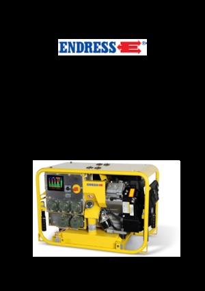 Groupes électrogènes à essence Endress ESE 1304 DBG ES  DIN