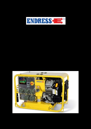 Groupes électrogènes à essence Endress ESE 1304 DBG ES  DIN
