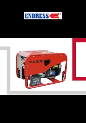 Groupes électrogènes à essence Endress ESE 1306 DHG-GT ES ISO Duplex