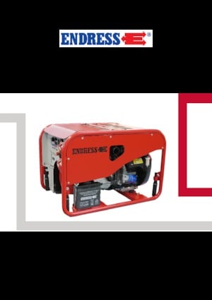 Groupes électrogènes à essence Endress ESE 1306 DHG-GT ES ISO Duplex