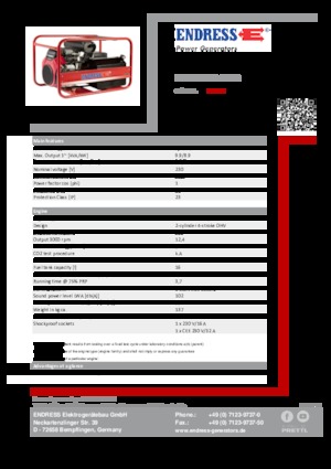Groupes électrogènes à essence Endress ESE 1306 HS-GT ES