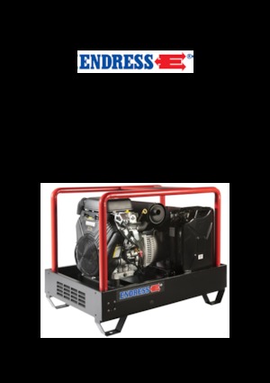 Groupes électrogènes à essence Endress ESE 2006 DBS-GT ES 