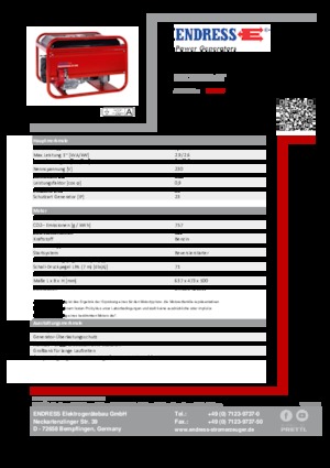 Groupes électrogènes à essence Endress ESE 206 HS-GT