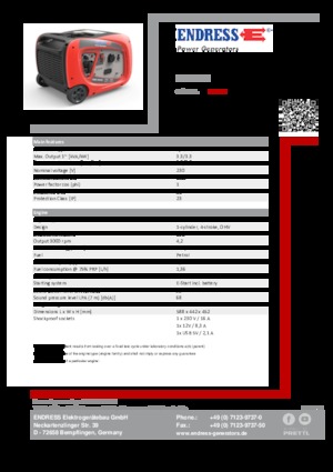 Groupes électrogènes à essence Endress ESE 3000i