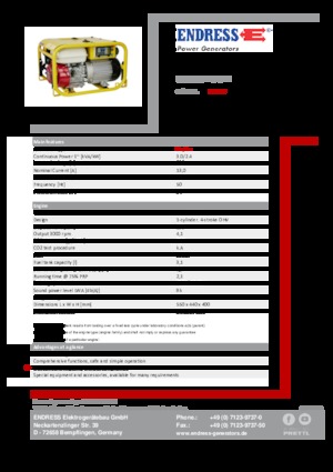 Groupes électrogènes à essence Endress ESE 304 HG DIN