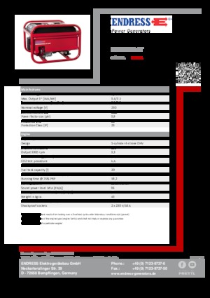 Groupes électrogènes à essence Endress ESE 306 HS GT