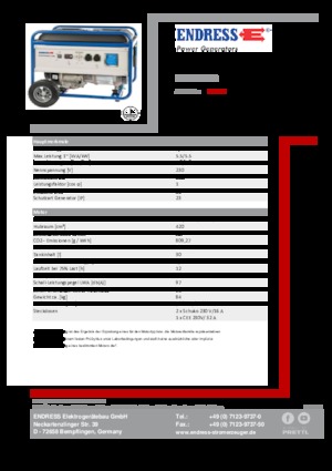 Groupes électrogènes à essence Endress ESE 6000 BS