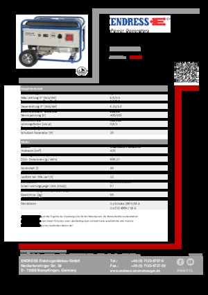 Groupes électrogènes à essence Endress ESE 6000 DBS