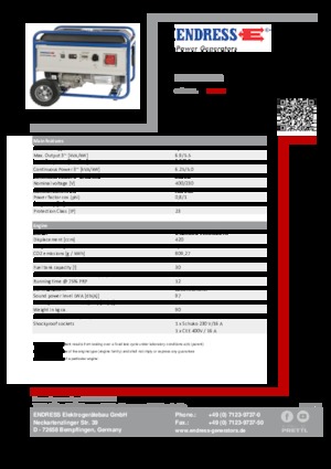 Groupes électrogènes à essence Endress ESE 6000 DBS