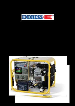 Groupes électrogènes à essence Endress ESE 604 DBG DIN