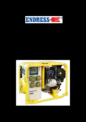 Groupes électrogènes à essence Endress ESE 604 DHG ES DIN