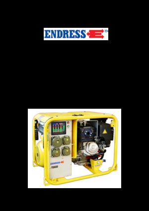Groupes électrogènes à essence Endress ESE 604 DHG ES DIN