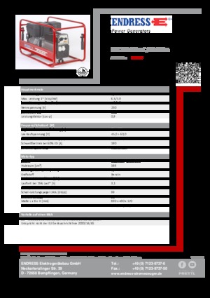 Groupes électrogènes à essence Endress ESE 704 SHS-AC / 60-200 A 
