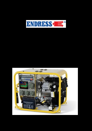 Groupes électrogènes à essence Endress ESE 604 DBG ES DIN