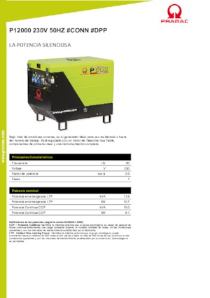 Groupes électrogènes à essence PRAMAC Lifter P 12000 THB