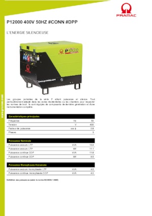 Groupes électrogènes à essence PRAMAC Lifter P 12000 THB