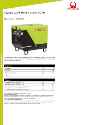 Groupes électrogènes à essence PRAMAC Lifter P 12000 THB