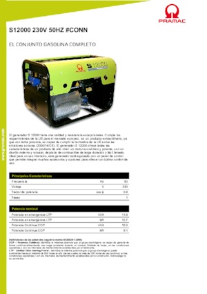 Groupes électrogènes à essence PRAMAC Lifter S 12000