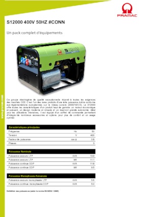 Groupes électrogènes à essence PRAMAC Lifter S 12000