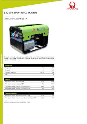 Groupes électrogènes à essence PRAMAC Lifter S 12000