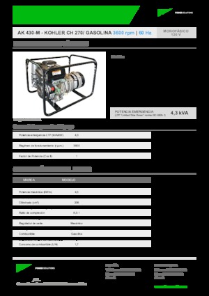 Groupes électrogènes à essence INMESOL AK 430-M