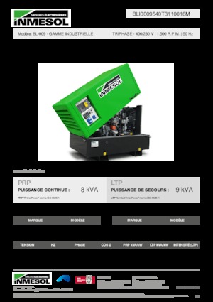 Groupes électrogènes à diesel INMESOL BL-009