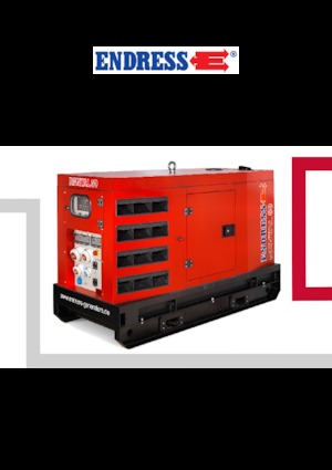 Groupes électrogènes à diesel Endress ESE 45 YW/RS
