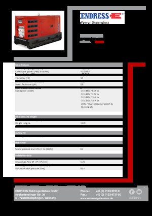 Groupes électrogènes à diesel Endress ESE 45 YW/RS
