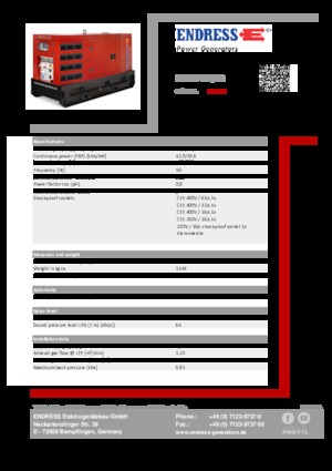 Groupes électrogènes à diesel Endress ESE 50 YW/RS