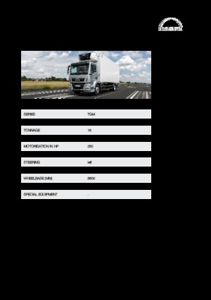 Chassis MAN TGM 18.250 4x4