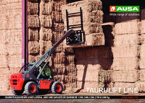 Chariot Élévateur Télescopique Ausa T 235 H