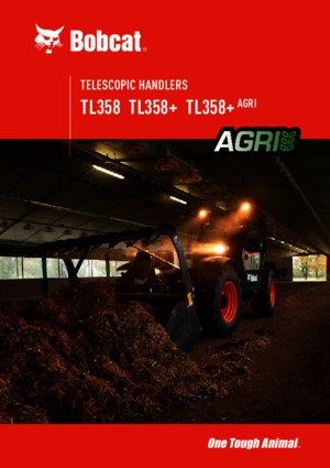 Chariot Élévateur Télescopique Bobcat TL358