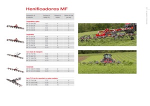 Faneuses rotatives Massey Ferguson TD776X DN