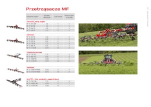 Faneuses rotatives Massey Ferguson TD776X DN
