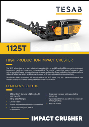 Concasseurs mobiles Tesab 1125T