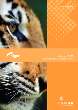 Scrapeurs Frutiger SR 3000 Tiger