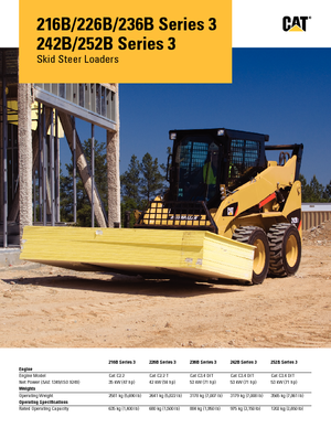 Chargeurs compacts Caterpillar 216B II