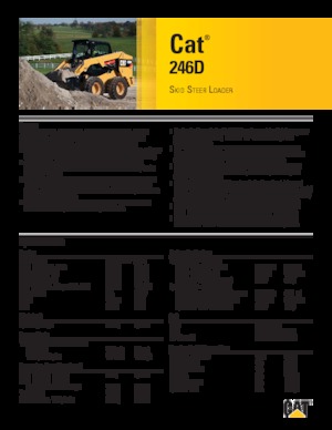 Chargeurs compacts Caterpillar 246D