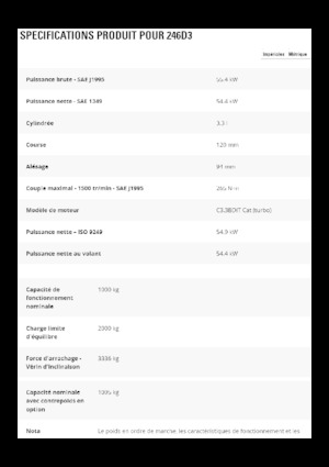 Chargeurs compacts Caterpillar 246D3