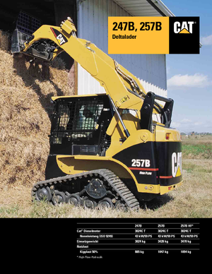Chargeurs compacts Caterpillar 247B