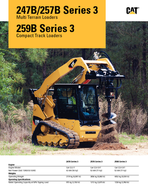 Chargeurs compacts Caterpillar 247B II