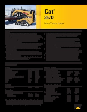Chargeurs compacts Caterpillar 257D