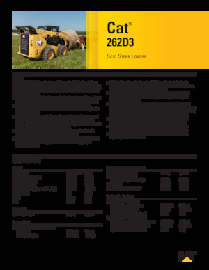 Chargeurs compacts Caterpillar 262D Series 3