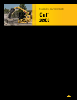 Chargeurs compacts Caterpillar 289D Serie 3 Deltalader