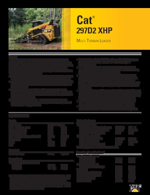 Chargeurs compacts Caterpillar 299D 2 XHP